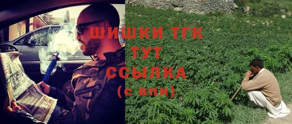 МДПВ Дмитриев