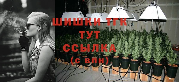 спиды Гусев
