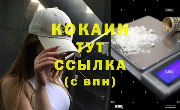 МДПВ Дмитриев