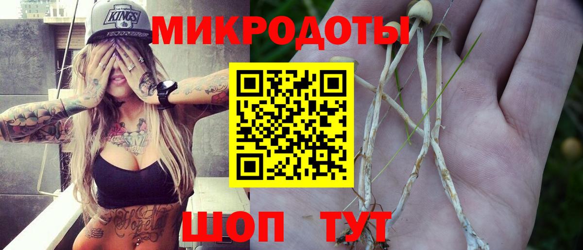 Галлюциногенные грибы Magic Shrooms Заринск